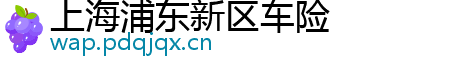 上海浦东新区车险